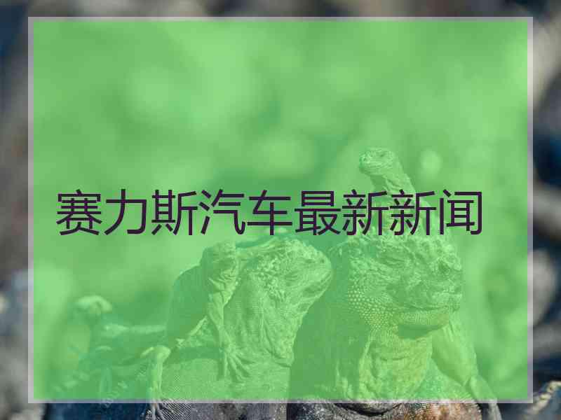 赛力斯汽车最新新闻