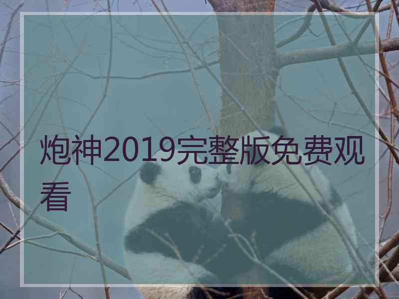 炮神2019完整版免费观看