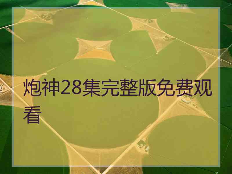 炮神28集完整版免费观看