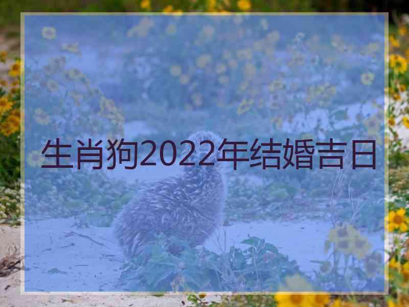 生肖狗2022年结婚吉日