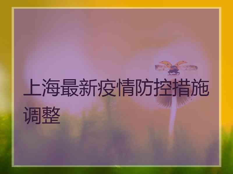 上海最新疫情防控措施调整