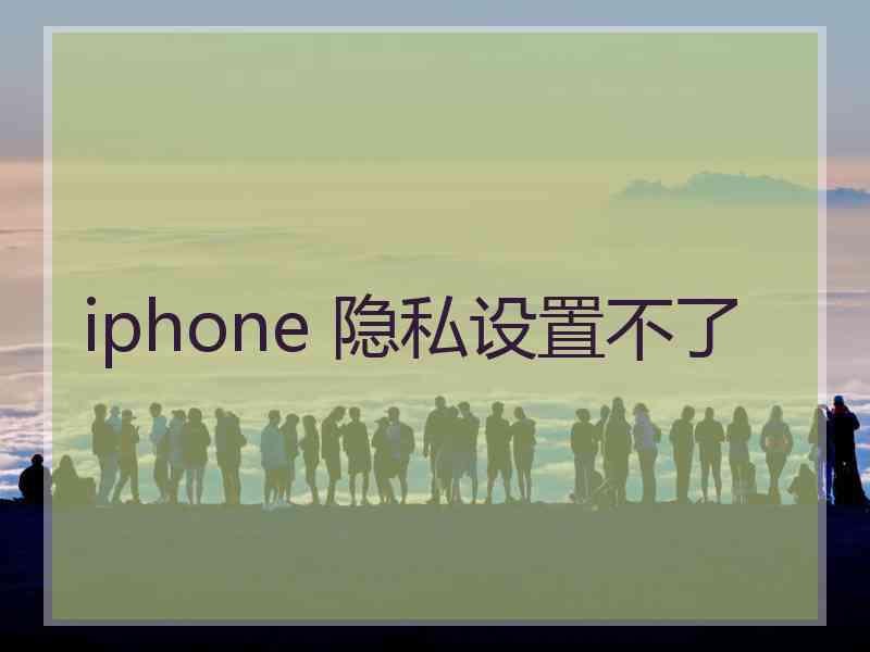 iphone 隐私设置不了