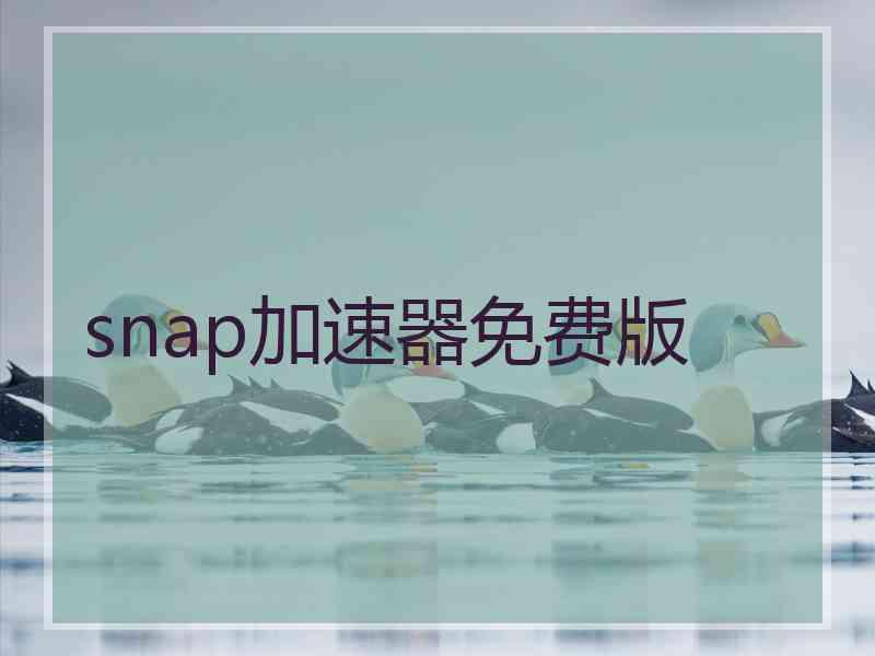 snap加速器免费版