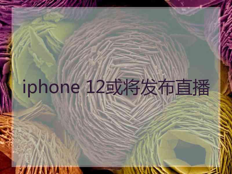 iphone 12或将发布直播