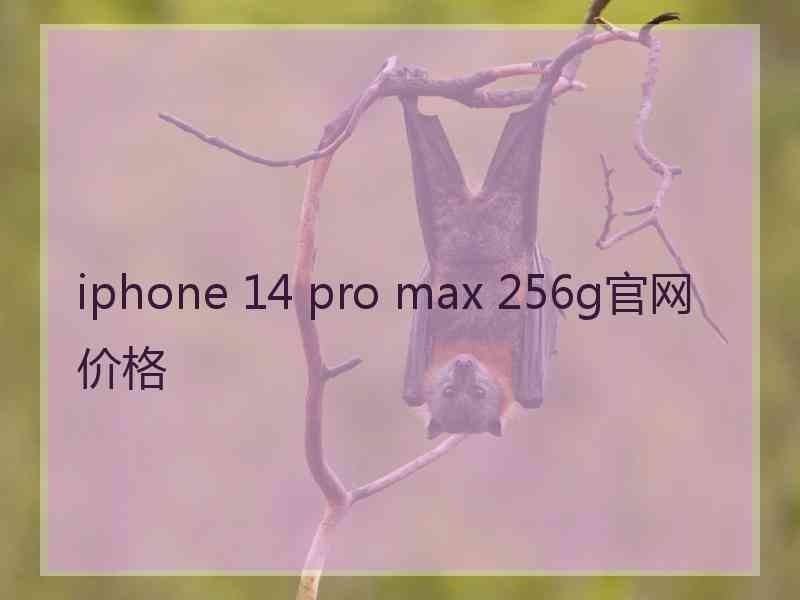 iphone 14 pro max 256g官网价格