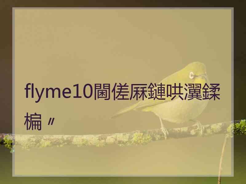 flyme10閫傞厤鏈哄瀷鍒楄〃