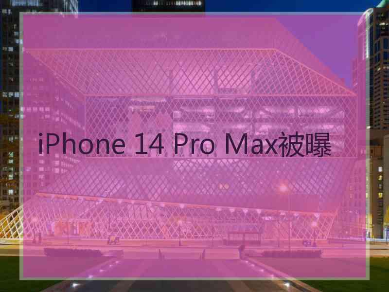 iPhone 14 Pro Max被曝