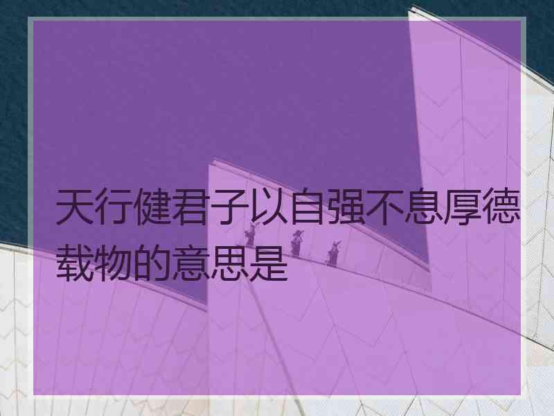 天行健君子以自强不息厚德载物的意思是