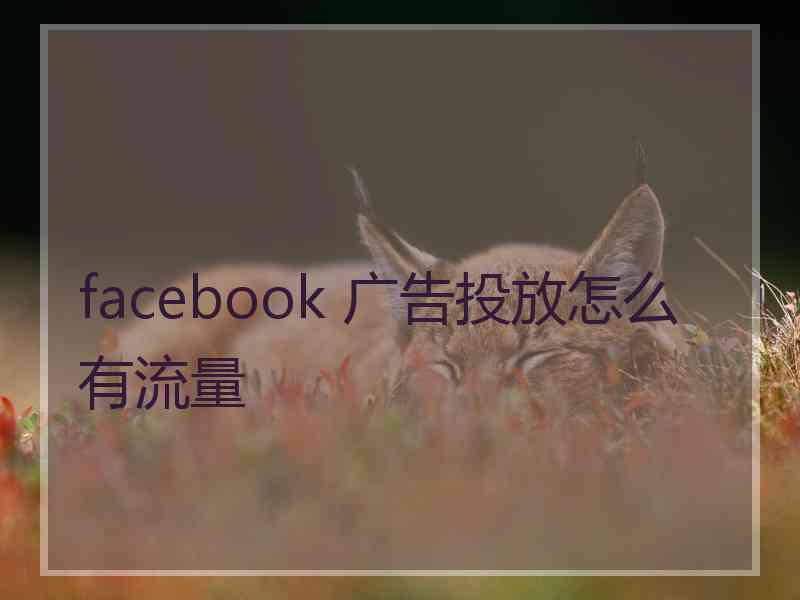 facebook 广告投放怎么有流量