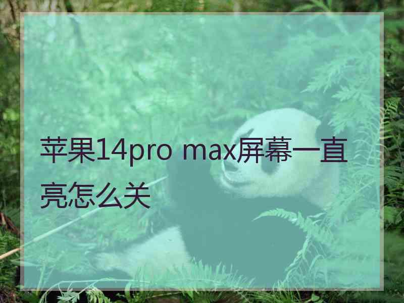 苹果14pro max屏幕一直亮怎么关