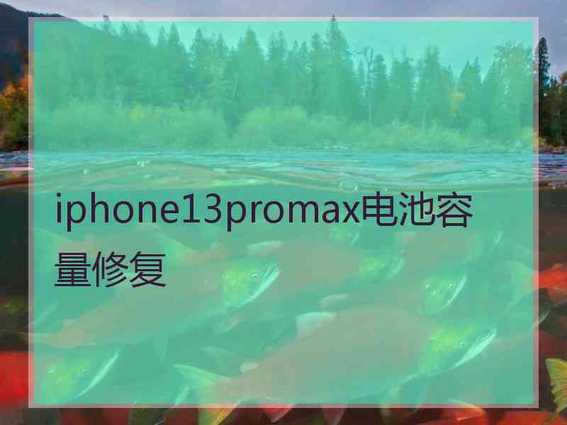 iphone13promax电池容量修复