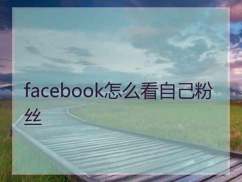 facebook怎么看自己粉丝