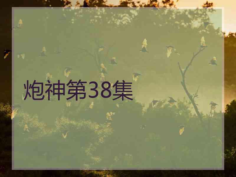 炮神第38集