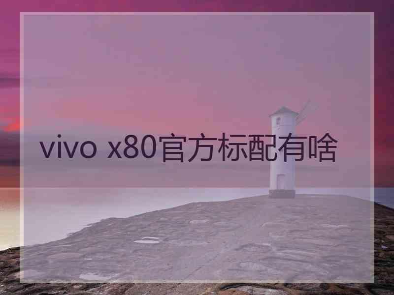 vivo x80官方标配有啥