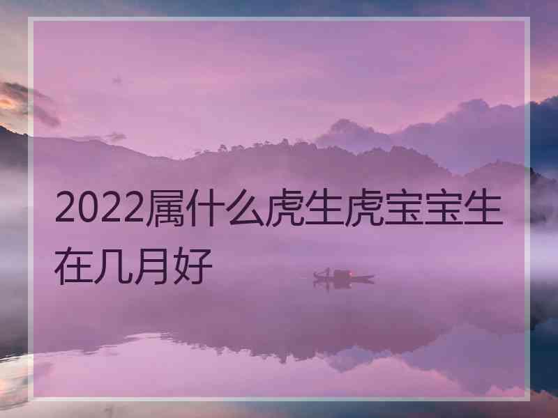 2022属什么虎生虎宝宝生在几月好