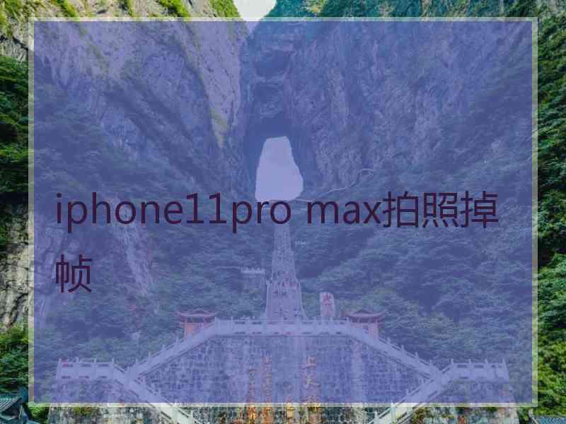 iphone11pro max拍照掉帧