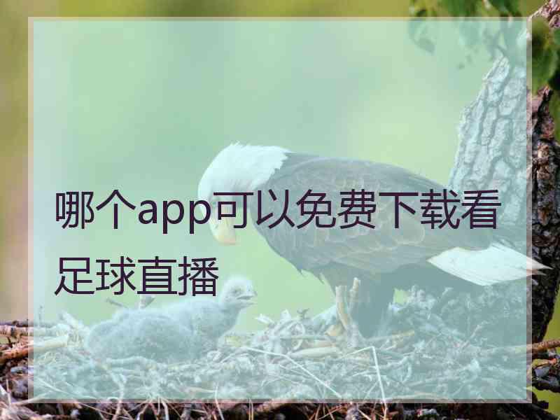 哪个app可以免费下载看足球直播