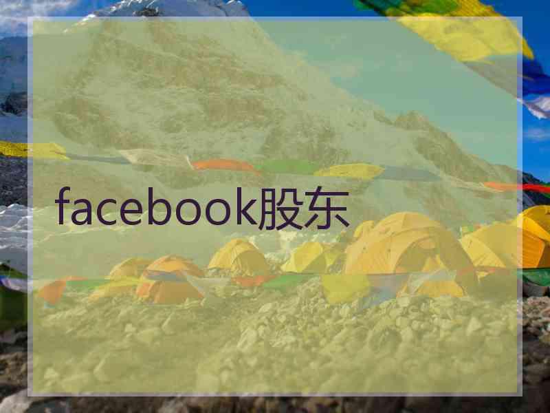 facebook股东