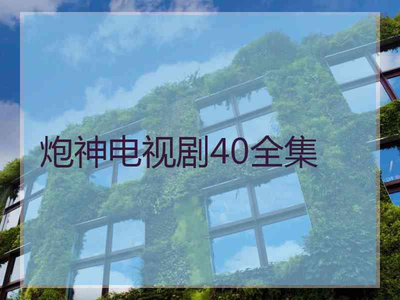 炮神电视剧40全集