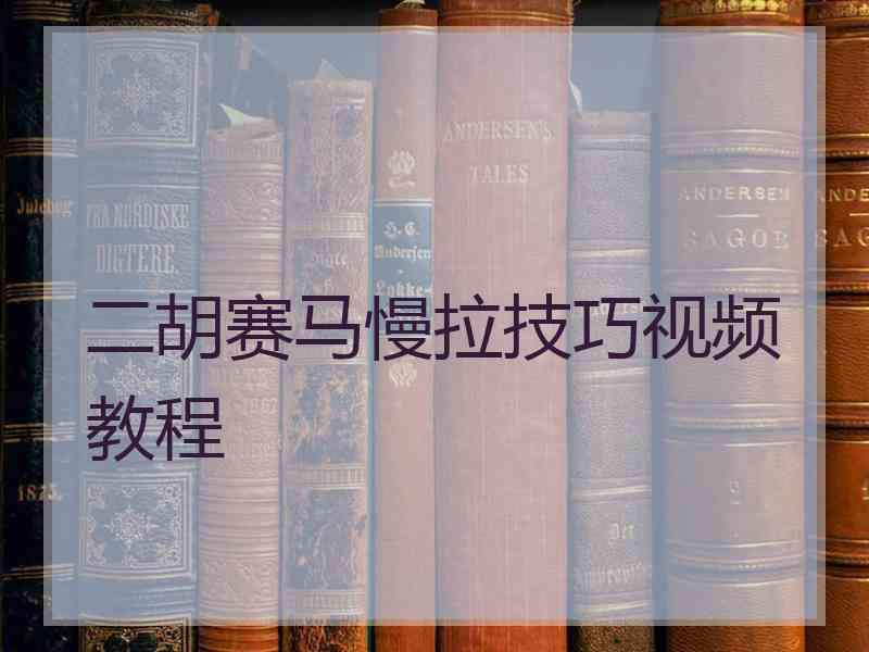 二胡赛马慢拉技巧视频教程