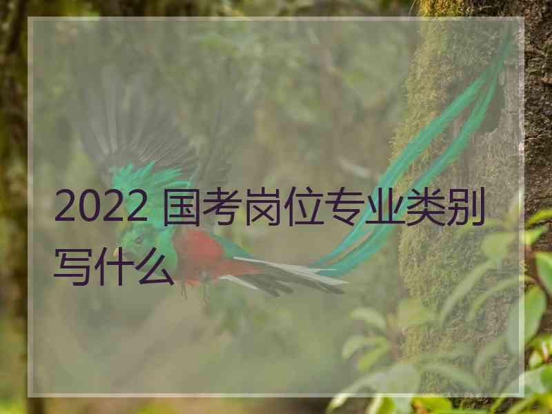 2022 国考岗位专业类别写什么