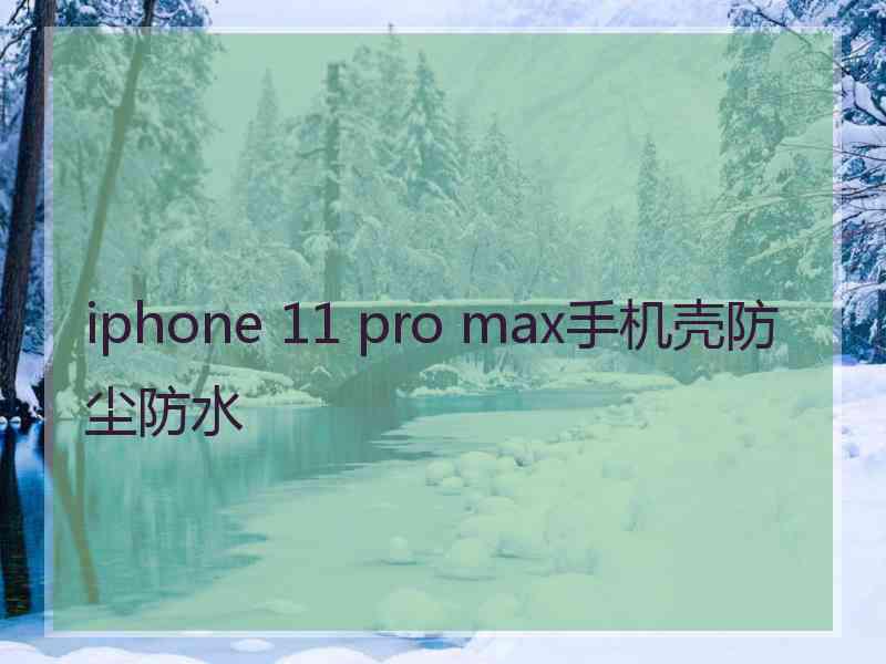 iphone 11 pro max手机壳防尘防水