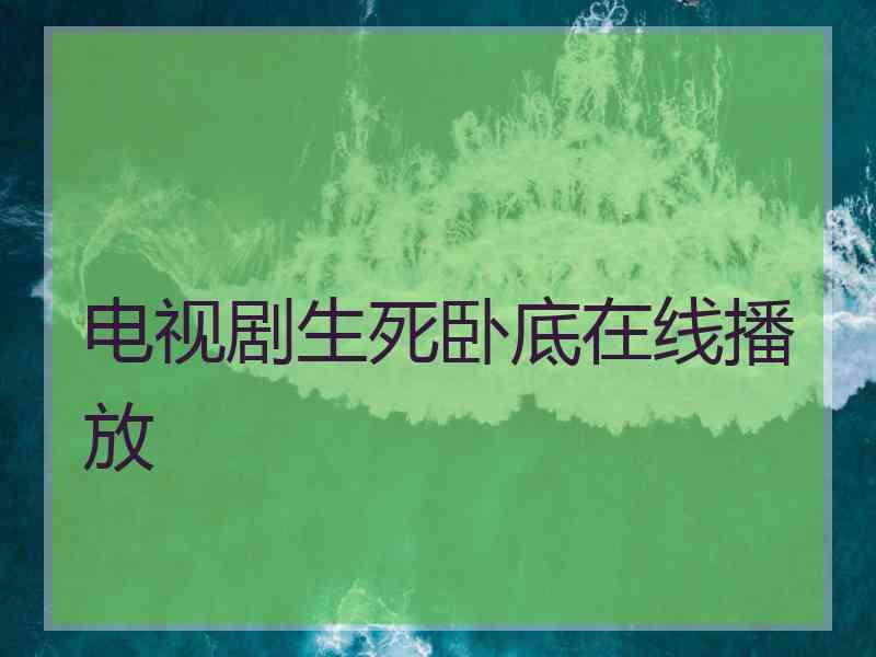 电视剧生死卧底在线播放