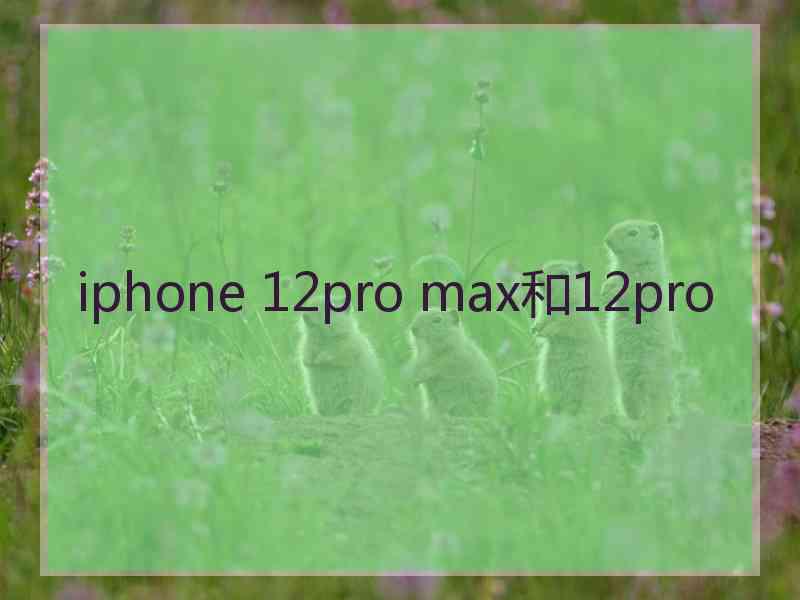 iphone 12pro max和12pro