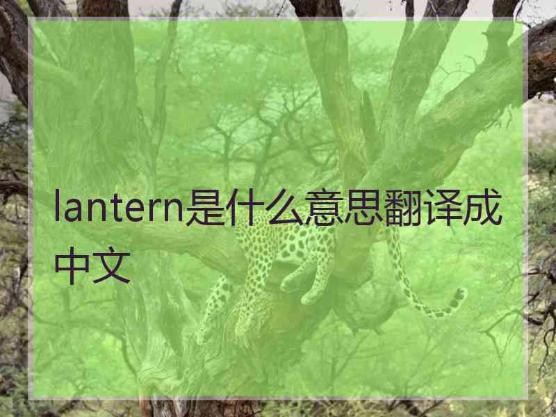 lantern是什么意思翻译成中文