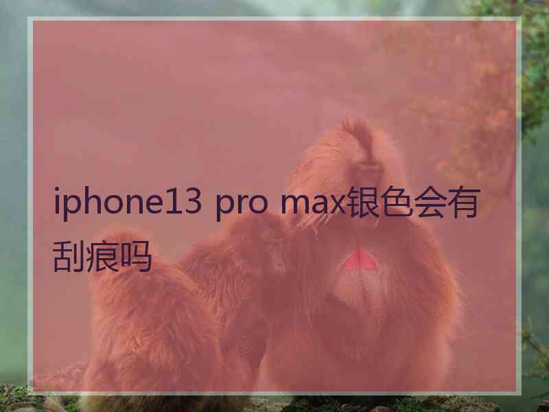 iphone13 pro max银色会有刮痕吗