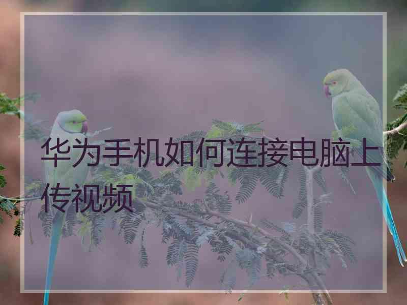 华为手机如何连接电脑上传视频