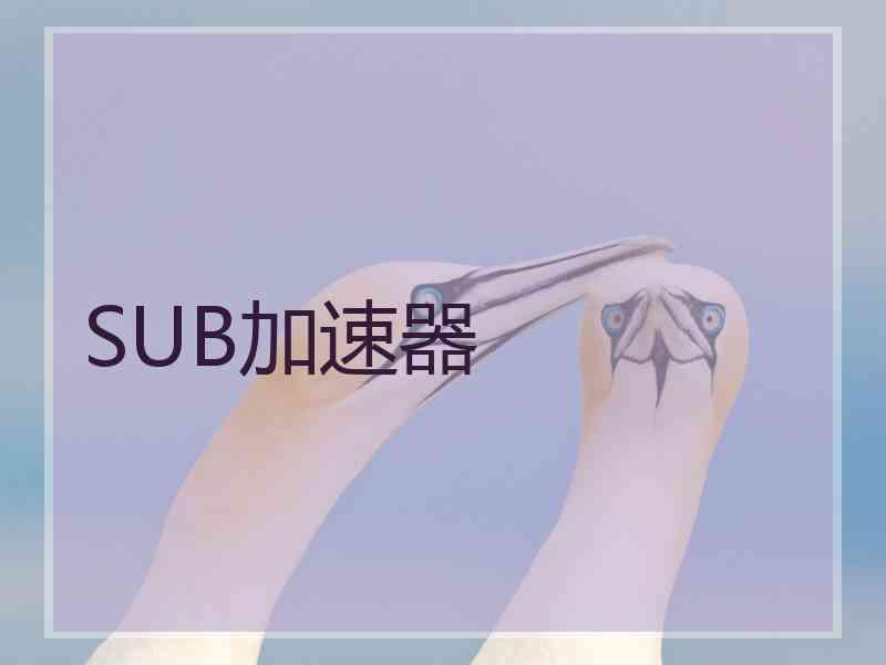 SUB加速器