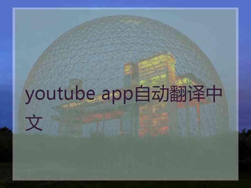 youtube app自动翻译中文