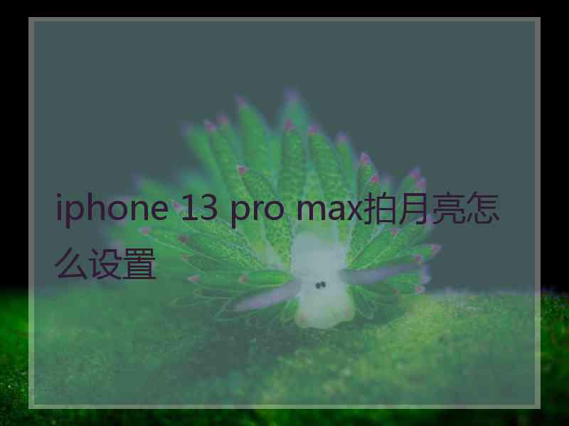 iphone 13 pro max拍月亮怎么设置