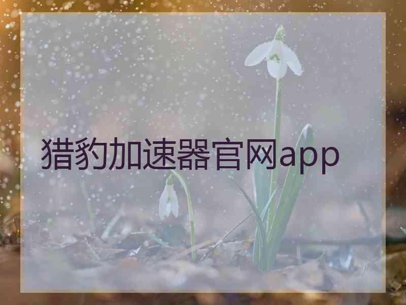 猎豹加速器官网app