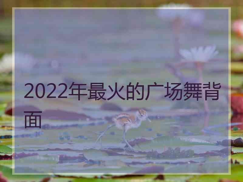 2022年最火的广场舞背面