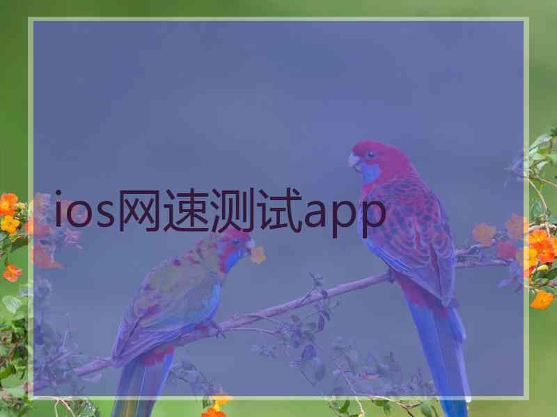 ios网速测试app