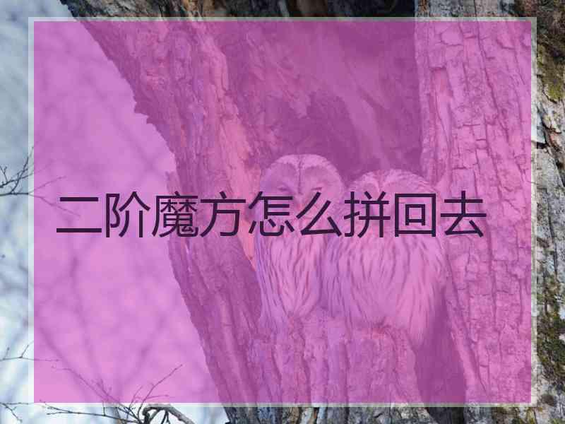 二阶魔方怎么拼回去