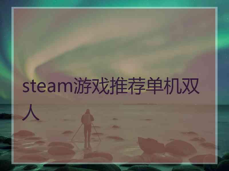 steam游戏推荐单机双人