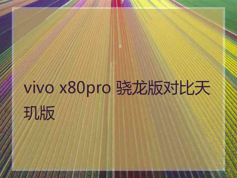 vivo x80pro 骁龙版对比天玑版