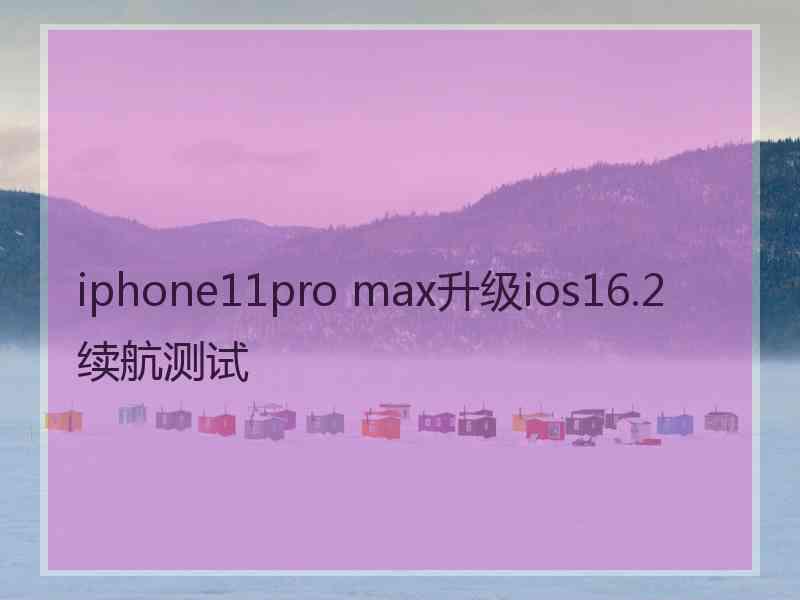 iphone11pro max升级ios16.2续航测试