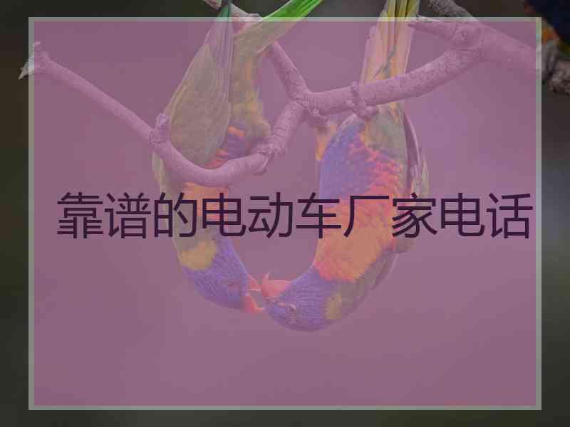 靠谱的电动车厂家电话