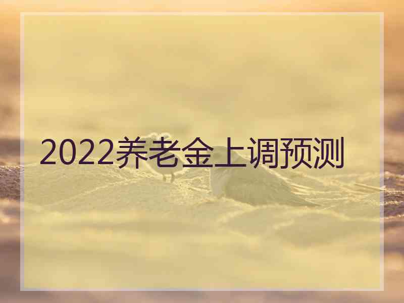 2022养老金上调预测