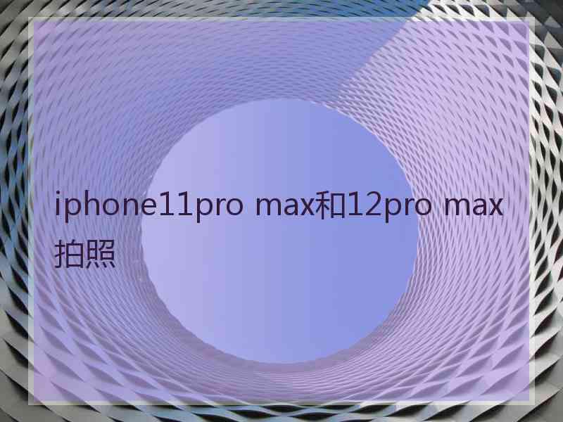 iphone11pro max和12pro max拍照