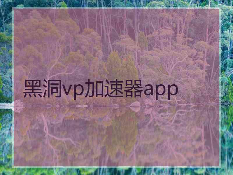 黑洞vp加速器app