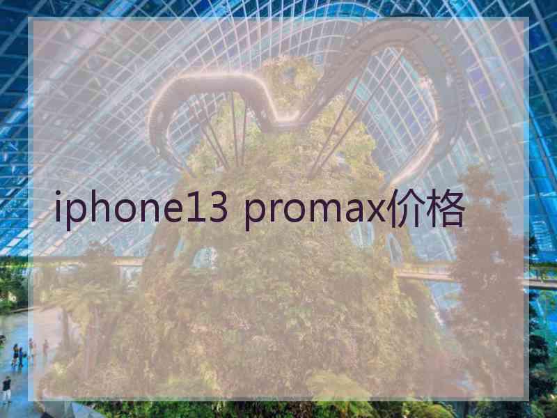 iphone13 promax价格