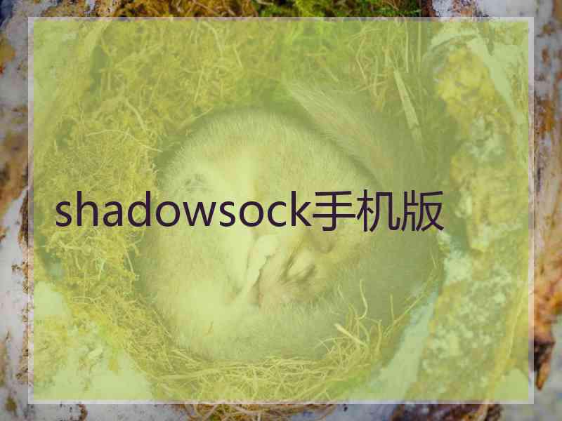 shadowsock手机版