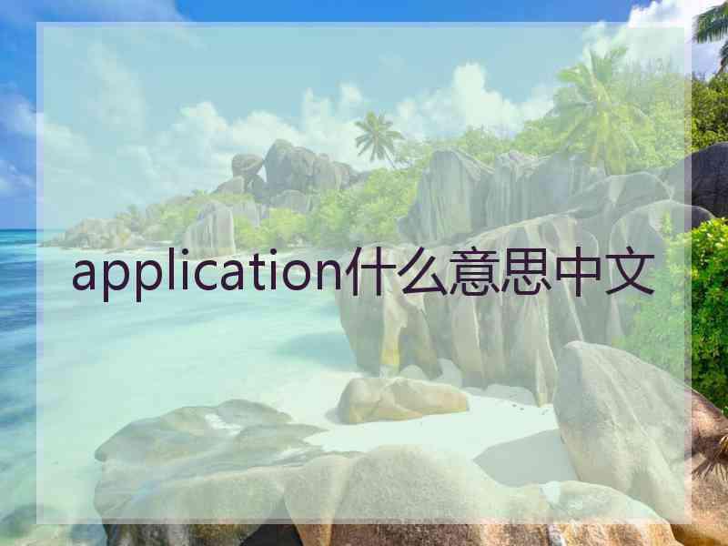 application什么意思中文