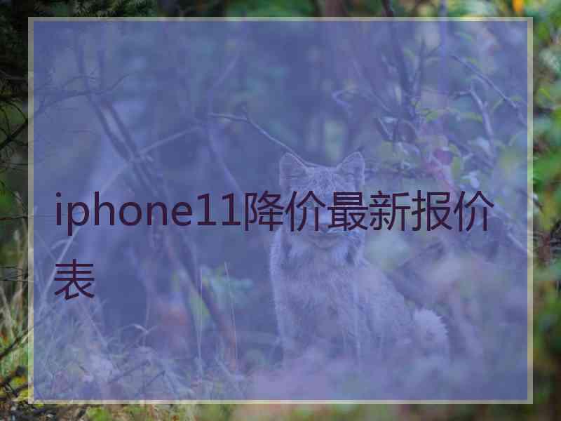 iphone11降价最新报价表