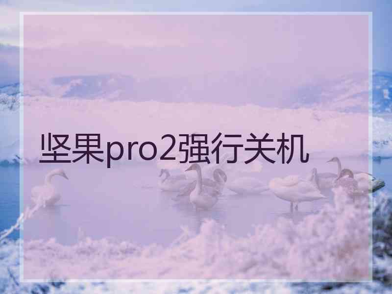 坚果pro2强行关机